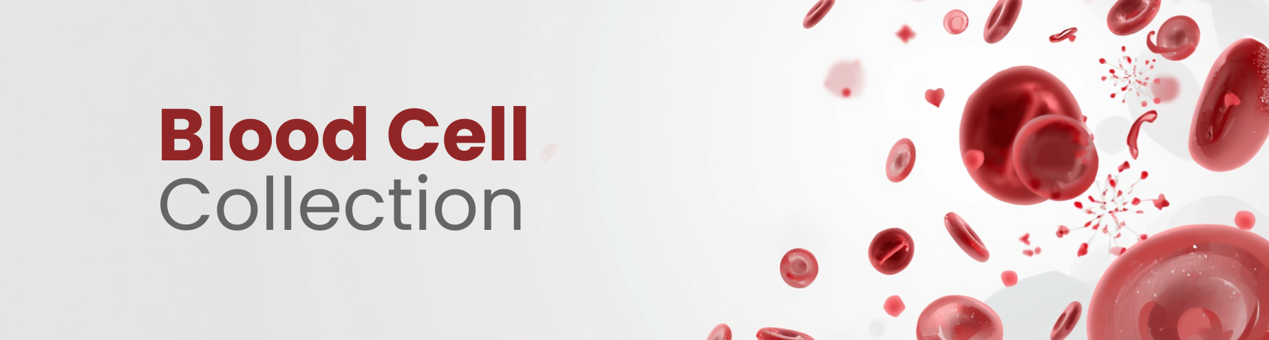 Blood Cell Collection banner