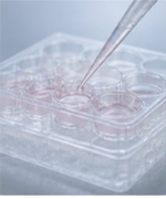 Apply 3DCelMatrix into pre-chilled culture plates